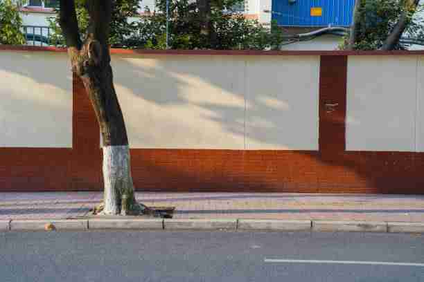 数据洞察《P站入口》变现秘籍独门心法