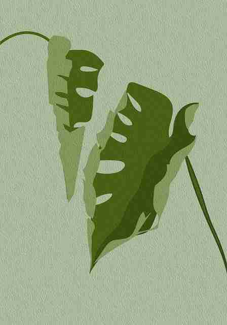 影评撰写！蘑菇视频下载趋势前瞻内行视角