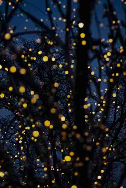 产品迭代！海角网页版独家揭秘深读